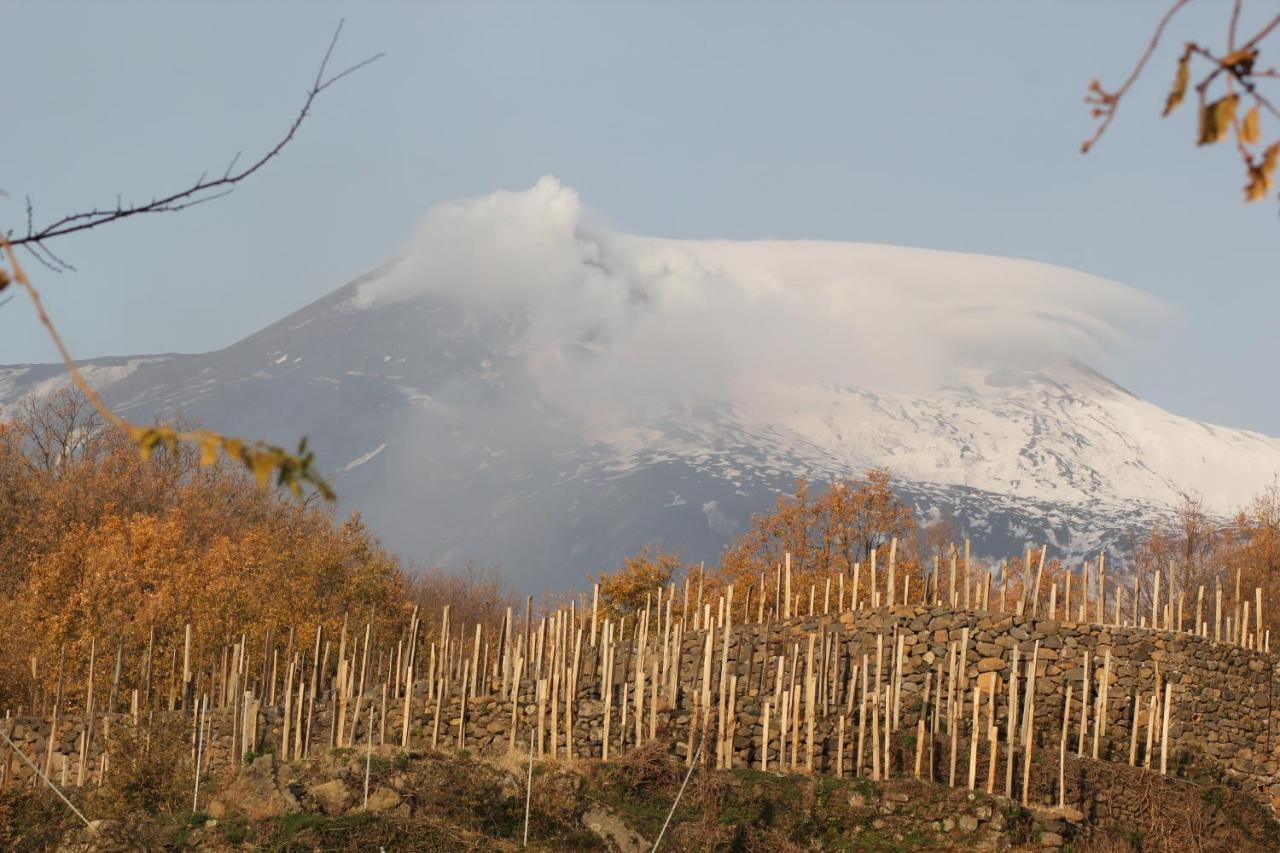 Le Case Del Merlo Turismo Rurale Milo Dış mekan fotoğraf