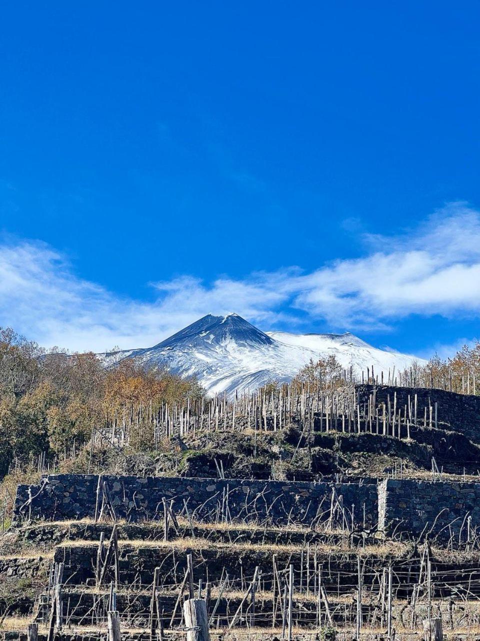 Le Case Del Merlo Turismo Rurale Milo Dış mekan fotoğraf