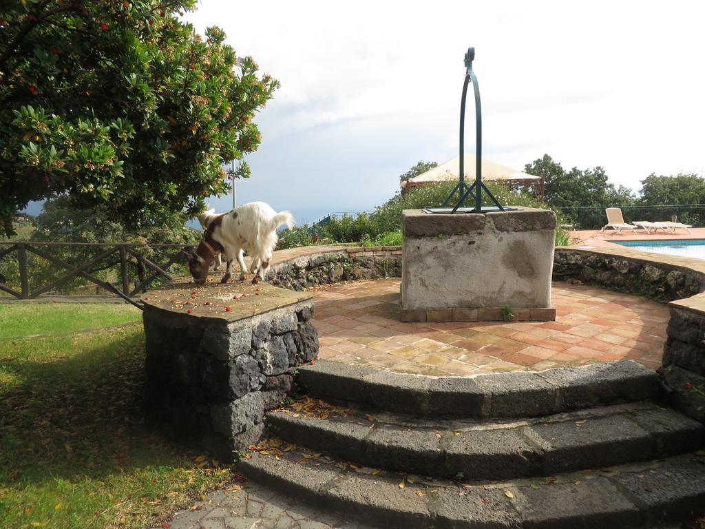 Agriturismo Le Case Del Merlo Milo Dış mekan fotoğraf